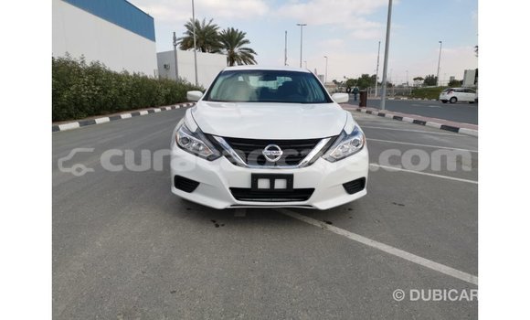 Buy Import Nissan Altima White Car in Import - Dubai in Curacao Buy Import Nissan Altima White Car in Import - Dubai in Curacao