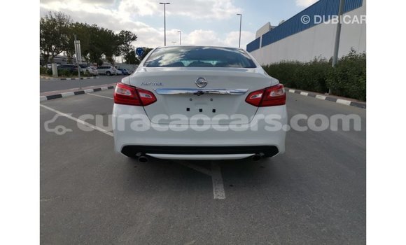Buy Import Nissan Altima White Car in Import - Dubai in Curacao Buy Import Nissan Altima White Car in Import - Dubai in Curacao
