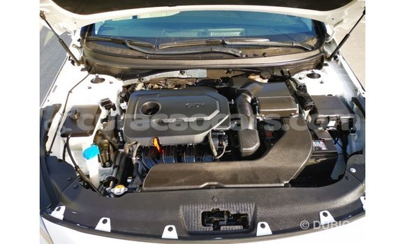 Buy Import Hyundai Sonata White Car in Import - Dubai in Curacao Buy Import Hyundai Sonata White Car in Import - Dubai in Curacao