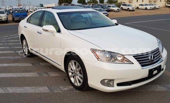 Buy Import Lexus ES White Car in Import - Dubai in Curacao Buy Import Lexus ES White Car in Import - Dubai in Curacao