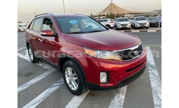 Buy Import Kia Sorento Red Car in Import - Dubai in Curacao Buy Import Kia Sorento Red Car in Import - Dubai in Curacao