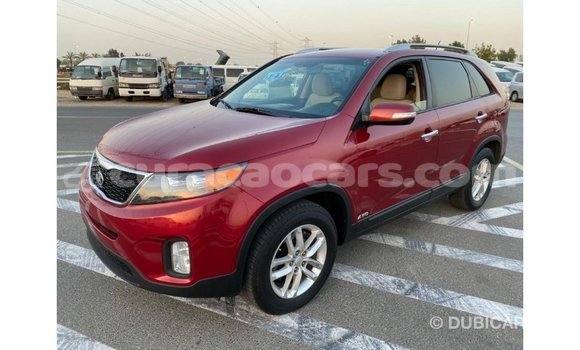 Buy Import Kia Sorento Red Car in Import - Dubai in Curacao Buy Import Kia Sorento Red Car in Import - Dubai in Curacao
