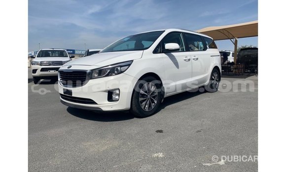 Buy Import Kia Carnival White Car in Import - Dubai in Curacao Buy Import Kia Carnival White Car in Import - Dubai in Curacao