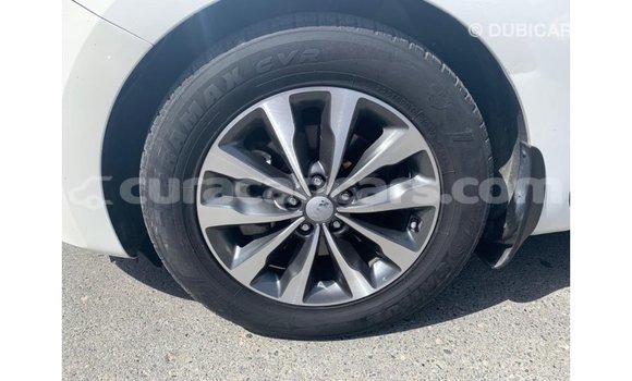 Buy Import Kia Carnival White Car in Import - Dubai in Curacao Buy Import Kia Carnival White Car in Import - Dubai in Curacao