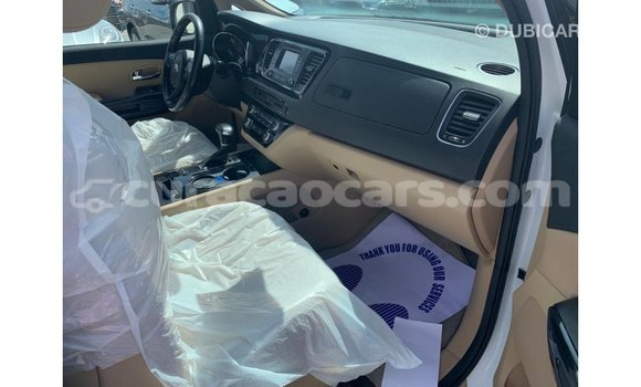 Buy Import Kia Carnival White Car in Import - Dubai in Curacao Buy Import Kia Carnival White Car in Import - Dubai in Curacao