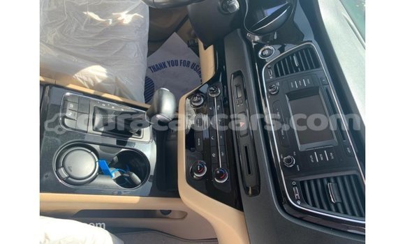 Buy Import Kia Carnival White Car in Import - Dubai in Curacao Buy Import Kia Carnival White Car in Import - Dubai in Curacao