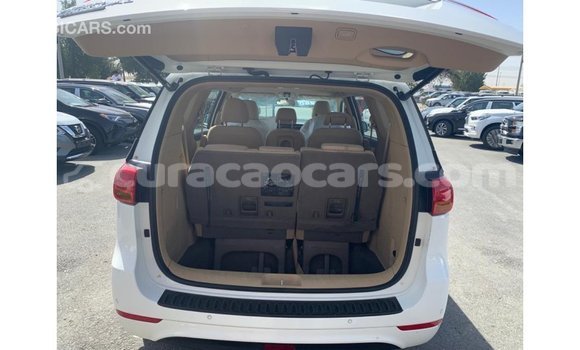 Buy Import Kia Carnival White Car in Import - Dubai in Curacao Buy Import Kia Carnival White Car in Import - Dubai in Curacao