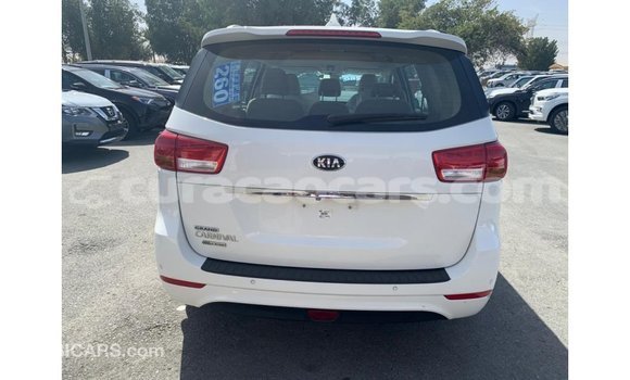 Buy Import Kia Carnival White Car in Import - Dubai in Curacao Buy Import Kia Carnival White Car in Import - Dubai in Curacao