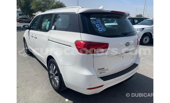 Buy Import Kia Carnival White Car in Import - Dubai in Curacao Buy Import Kia Carnival White Car in Import - Dubai in Curacao