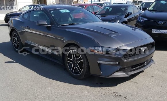 Buy Import Ford Mustang Other Car in Import - Dubai in Curacao Buy Import Ford Mustang Other Car in Import - Dubai in Curacao