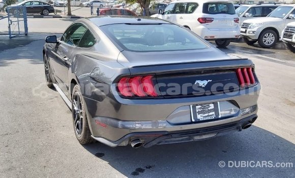 Buy Import Ford Mustang Other Car in Import - Dubai in Curacao Buy Import Ford Mustang Other Car in Import - Dubai in Curacao