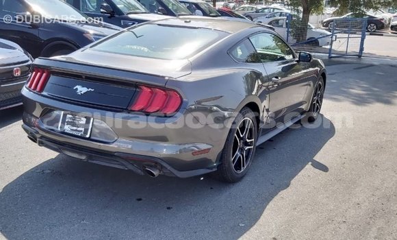Buy Import Ford Mustang Other Car in Import - Dubai in Curacao Buy Import Ford Mustang Other Car in Import - Dubai in Curacao