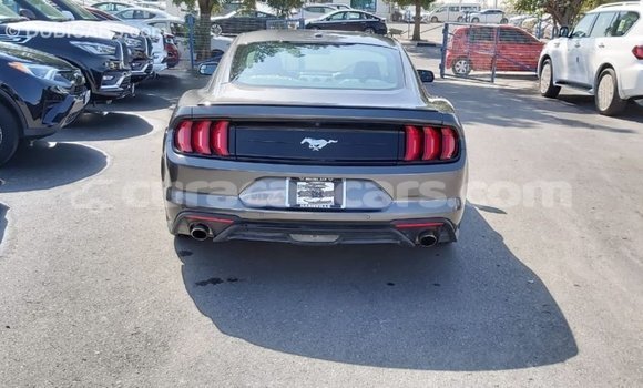 Buy Import Ford Mustang Other Car in Import - Dubai in Curacao Buy Import Ford Mustang Other Car in Import - Dubai in Curacao