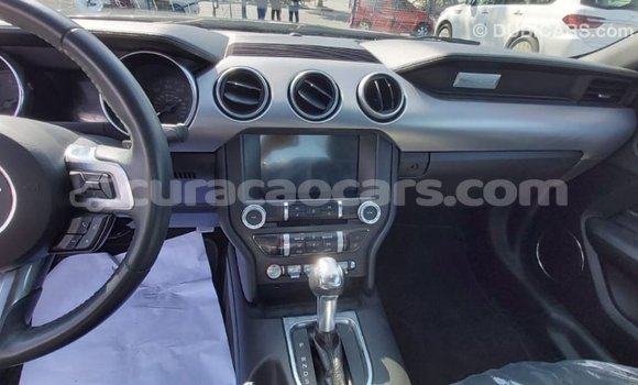 Buy Import Ford Mustang Other Car in Import - Dubai in Curacao Buy Import Ford Mustang Other Car in Import - Dubai in Curacao