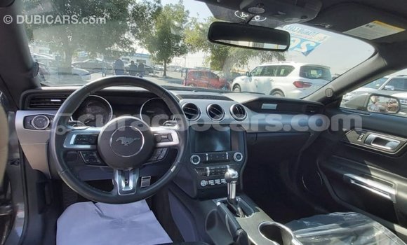 Buy Import Ford Mustang Other Car in Import - Dubai in Curacao Buy Import Ford Mustang Other Car in Import - Dubai in Curacao