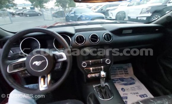 Buy Import Ford Mustang Red Car in Import - Dubai in Curacao Buy Import Ford Mustang Red Car in Import - Dubai in Curacao