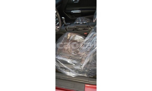 Buy Import Ford Mustang Red Car in Import - Dubai in Curacao Buy Import Ford Mustang Red Car in Import - Dubai in Curacao