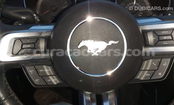 Buy Import Ford Mustang Red Car in Import - Dubai in Curacao Buy Import Ford Mustang Red Car in Import - Dubai in Curacao
