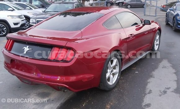 Buy Import Ford Mustang Red Car in Import - Dubai in Curacao Buy Import Ford Mustang Red Car in Import - Dubai in Curacao