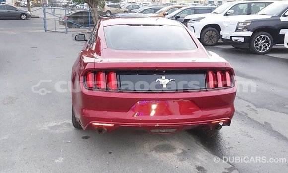 Buy Import Ford Mustang Red Car in Import - Dubai in Curacao Buy Import Ford Mustang Red Car in Import - Dubai in Curacao