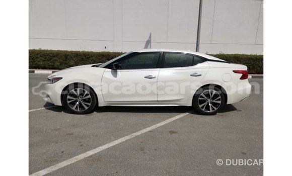 Buy Import Nissan Maxima White Car in Import - Dubai in Curacao Buy Import Nissan Maxima White Car in Import - Dubai in Curacao