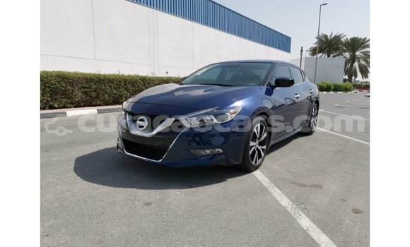 Buy Import Nissan Maxima Blue Car in Import - Dubai in Curacao Buy Import Nissan Maxima Blue Car in Import - Dubai in Curacao