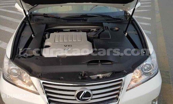 Buy Import Lexus ES White Car in Import - Dubai in Curacao