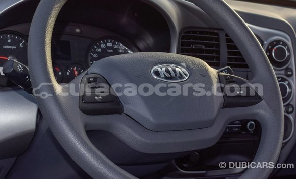 Buy Import Kia Rio White Car in Import - Dubai in Curacao Buy Import Kia Rio White Car in Import - Dubai in Curacao