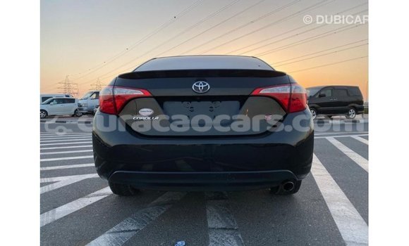 Buy Import Toyota Corolla Black Car in Import - Dubai in Curacao Buy Import Toyota Corolla Black Car in Import - Dubai in Curacao