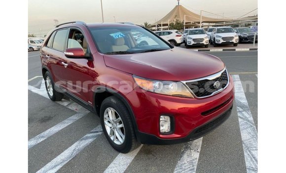 Buy Import Kia Sorento Red Car in Import - Dubai in Curacao Buy Import Kia Sorento Red Car in Import - Dubai in Curacao