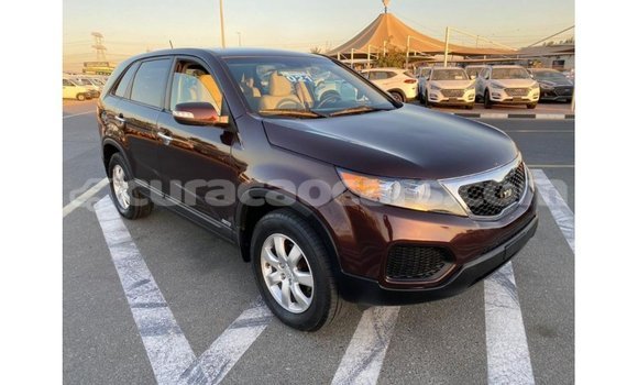 Buy Import Kia Sorento Brown Car in Import - Dubai in Curacao Buy Import Kia Sorento Brown Car in Import - Dubai in Curacao