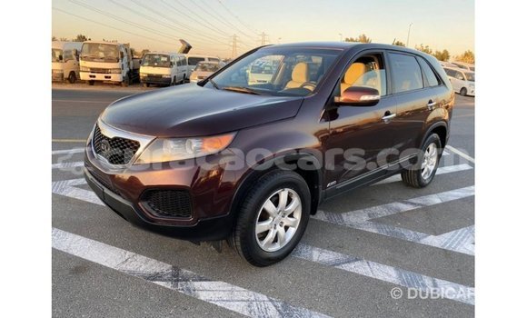 Buy Import Kia Sorento Brown Car in Import - Dubai in Curacao Buy Import Kia Sorento Brown Car in Import - Dubai in Curacao