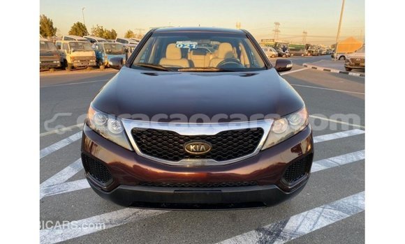 Buy Import Kia Sorento Brown Car in Import - Dubai in Curacao Buy Import Kia Sorento Brown Car in Import - Dubai in Curacao