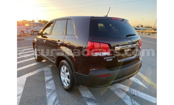 Buy Import Kia Sorento Brown Car in Import - Dubai in Curacao Buy Import Kia Sorento Brown Car in Import - Dubai in Curacao