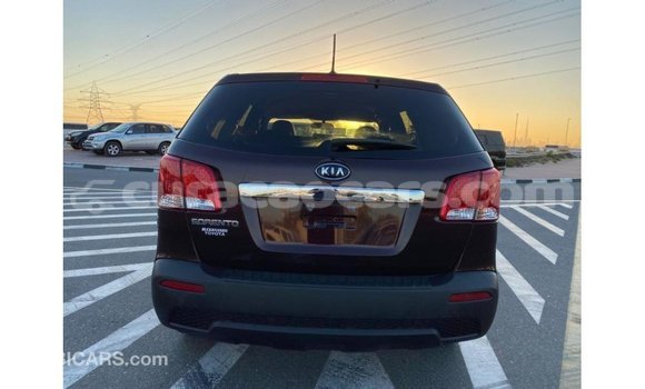 Buy Import Kia Sorento Brown Car in Import - Dubai in Curacao Buy Import Kia Sorento Brown Car in Import - Dubai in Curacao