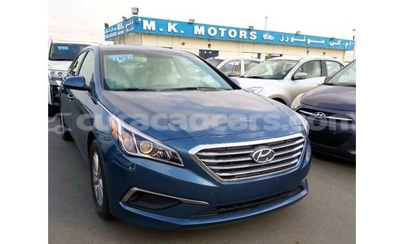 Buy Import Hyundai Sonata Blue Car in Import - Dubai in Curacao Buy Import Hyundai Sonata Blue Car in Import - Dubai in Curacao