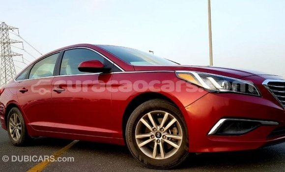 Buy Import Hyundai Sonata Red Car in Import - Dubai in Curacao Buy Import Hyundai Sonata Red Car in Import - Dubai in Curacao