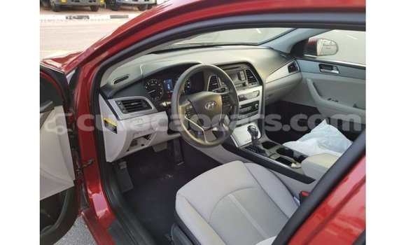 Buy Import Hyundai Sonata Red Car in Import - Dubai in Curacao Buy Import Hyundai Sonata Red Car in Import - Dubai in Curacao