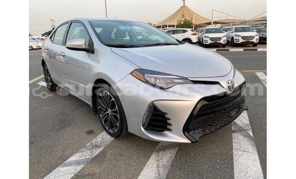 Buy Import Toyota Corolla Other Car in Import - Dubai in Curacao Buy Import Toyota Corolla Other Car in Import - Dubai in Curacao
