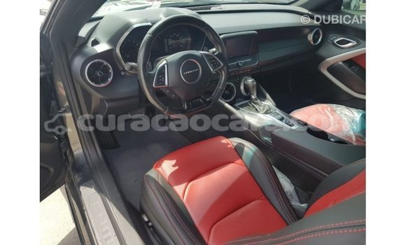 Buy Import Chevrolet Camaro Other Car in Import - Dubai in Curacao Buy Import Chevrolet Camaro Other Car in Import - Dubai in Curacao