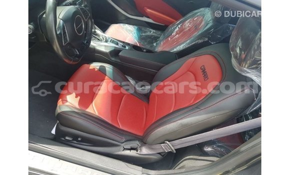 Buy Import Chevrolet Camaro Other Car in Import - Dubai in Curacao Buy Import Chevrolet Camaro Other Car in Import - Dubai in Curacao