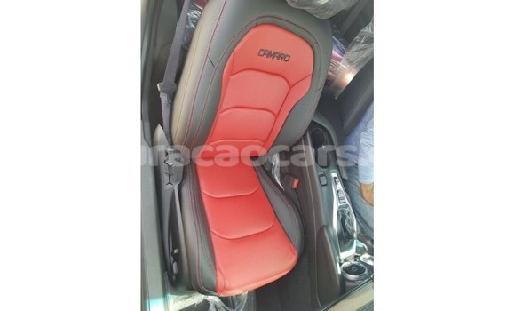 Buy Import Chevrolet Camaro Other Car in Import - Dubai in Curacao Buy Import Chevrolet Camaro Other Car in Import - Dubai in Curacao