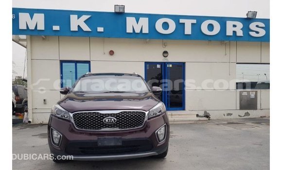 Buy Import Kia Sorento Red Car in Import - Dubai in Curacao Buy Import Kia Sorento Red Car in Import - Dubai in Curacao