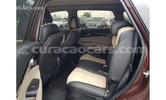 Buy Import Kia Sorento Red Car in Import - Dubai in Curacao Buy Import Kia Sorento Red Car in Import - Dubai in Curacao