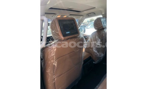 Buy Import Nissan Patrol White Car in Import - Dubai in Curacao Buy Import Nissan Patrol White Car in Import - Dubai in Curacao