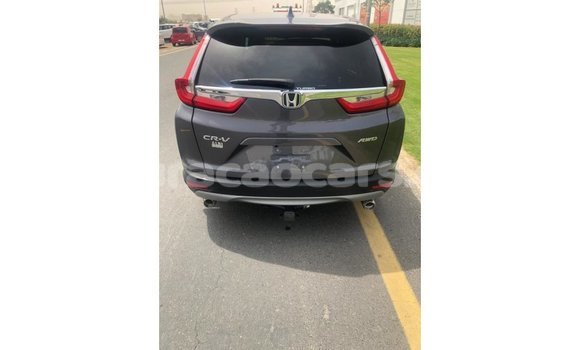 Buy Import Honda C Other Bike in Import - Dubai in Curacao Buy Import Honda C Other Bike in Import - Dubai in Curacao