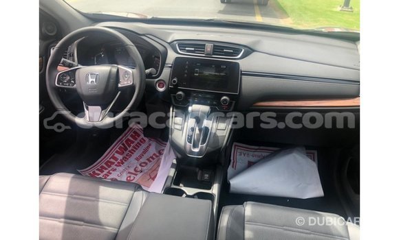 Buy Import Honda C Other Bike in Import - Dubai in Curacao Buy Import Honda C Other Bike in Import - Dubai in Curacao