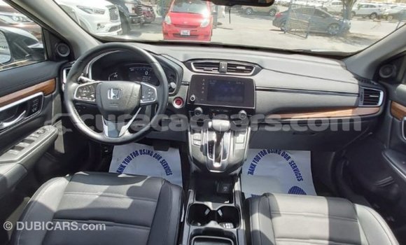 Buy Import Honda C Other Bike in Import - Dubai in Curacao Buy Import Honda C Other Bike in Import - Dubai in Curacao