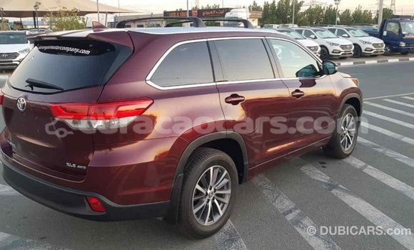 Buy Import Toyota Highlander Other Car in Import - Dubai in Curacao Buy Import Toyota Highlander Other Car in Import - Dubai in Curacao