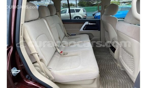 Buy Import Toyota Land Cruiser Red Car in Import - Dubai in Curacao Buy Import Toyota Land Cruiser Red Car in Import - Dubai in Curacao